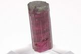 Tri-Colored Elbaite Tourmaline Crystal - Aricanga Mine, Brazil #206245-4